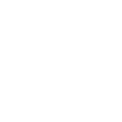 Almere_City_FC_logo (1)