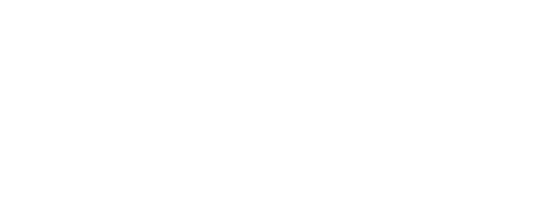 TeamNL_CombiLogo_Metropool_RGB_Diap