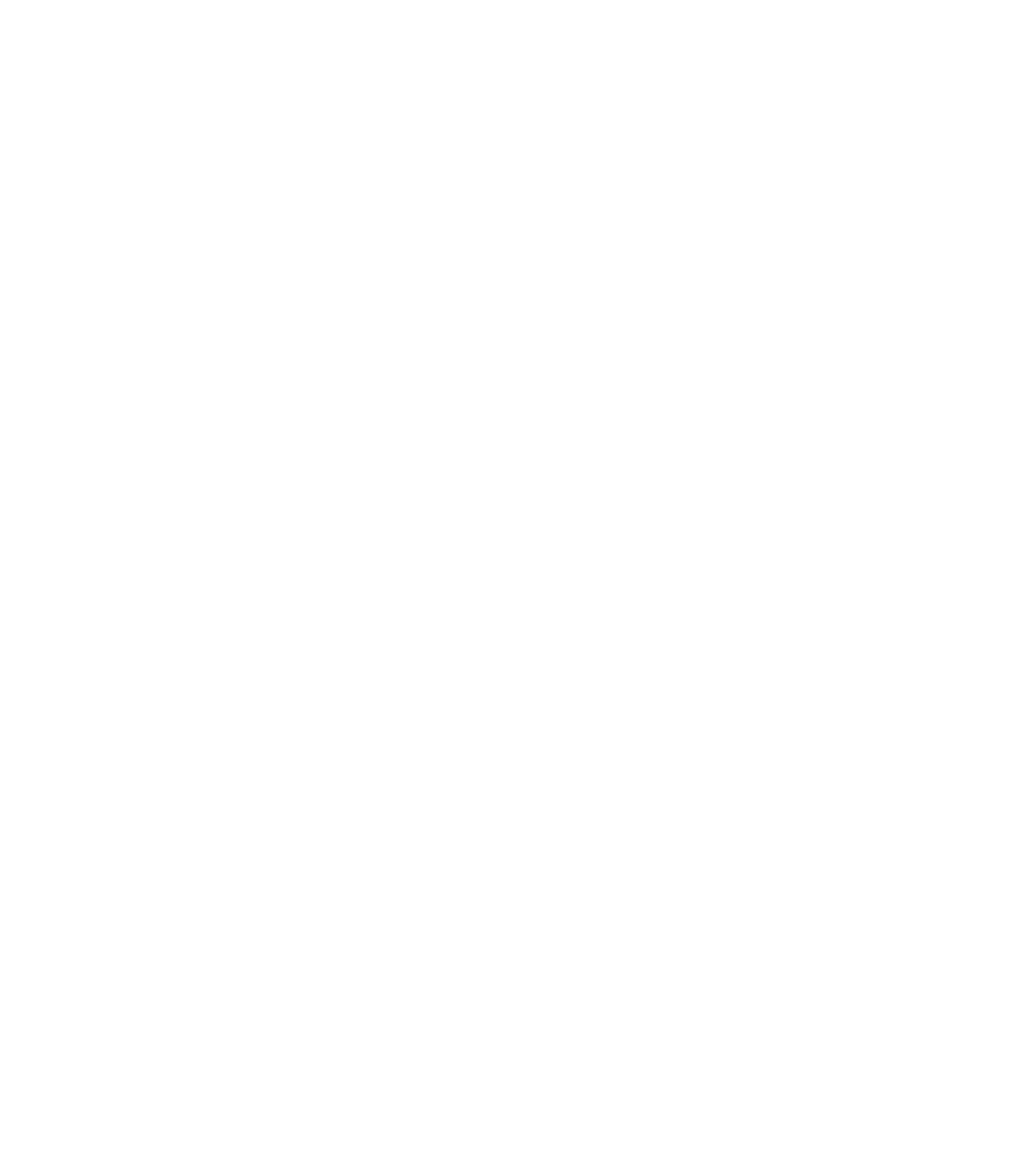 logo-zwaluwen