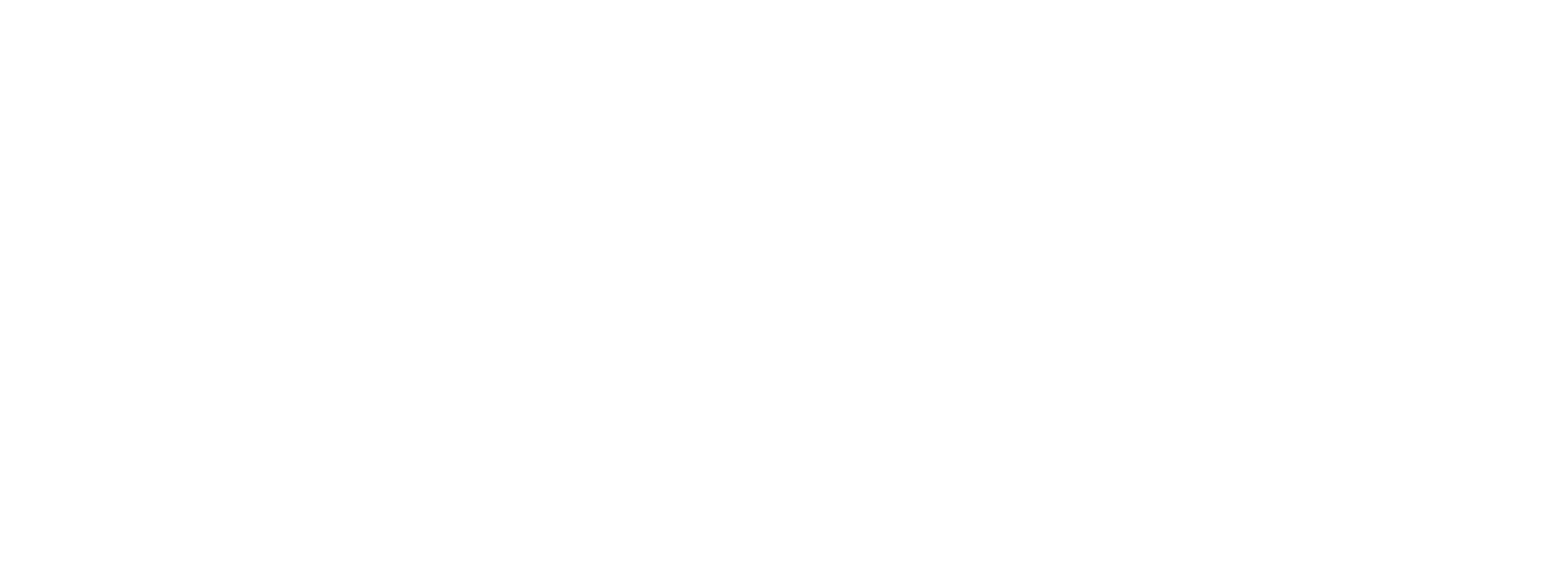 skydiveteugelogo